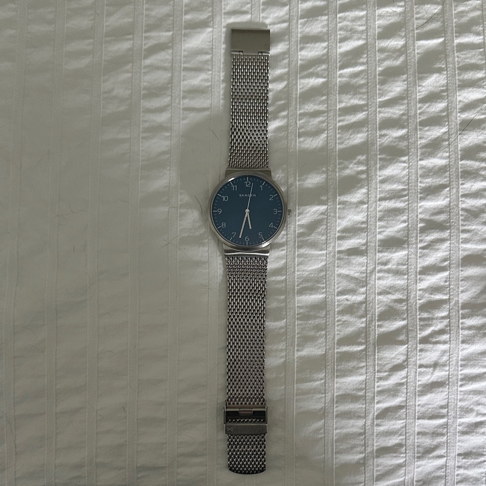 Skagen Blue Dial with Silver Mesh Watch